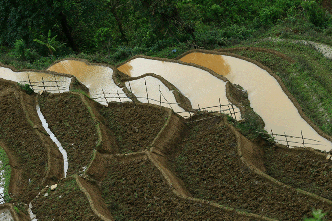 Chiêm[-]ngưỡng[-]vẻ[-]đẹp[-]Mù[-]Cang[-]Chải[-]mùa[-]nước[-]đổ